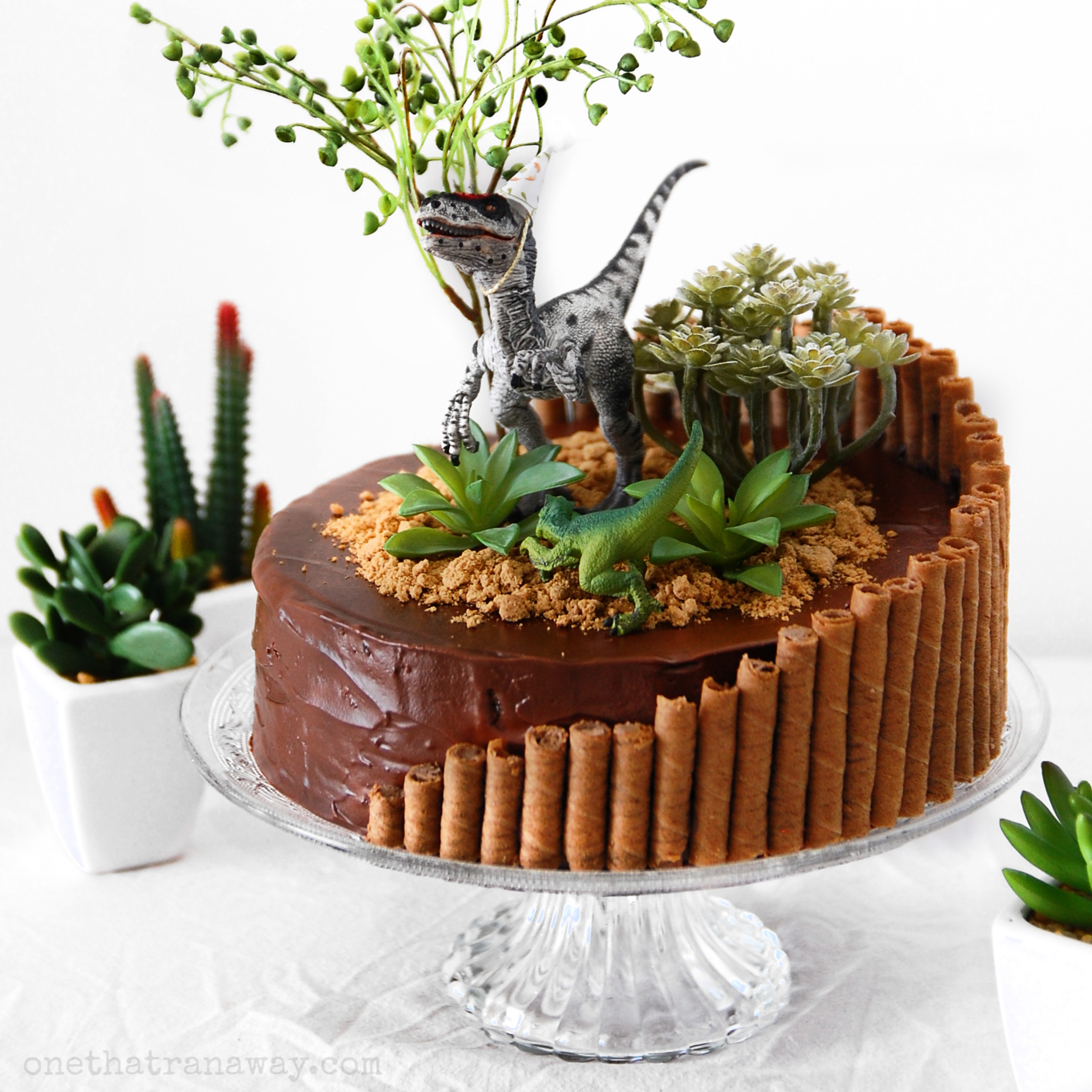 velociraptor birthday party cake with succulents